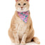 Meowcarons - Cat Fashion Pack
