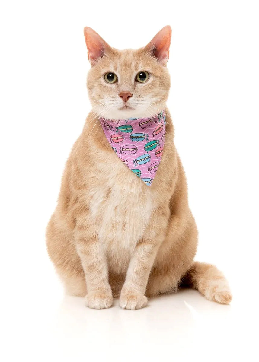 Meowcarons - Cat Fashion Pack