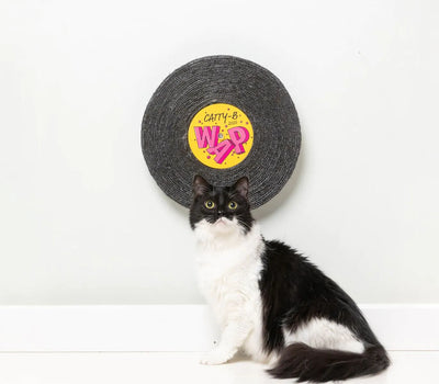 Catty-B - Record Cat Scratcher