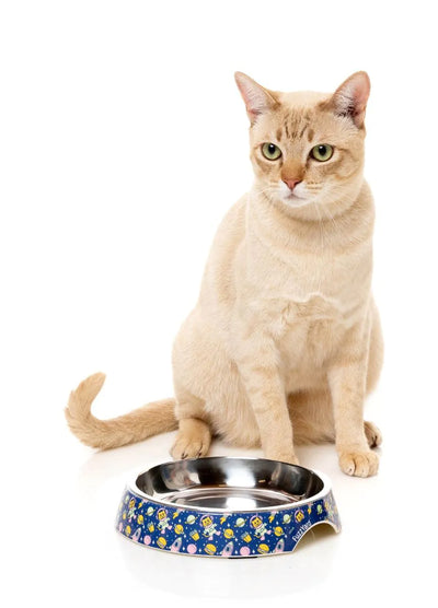 Pluto Pussycat - Easy Feeder Cat Bowl