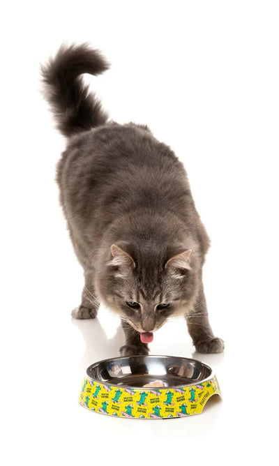 Sk8ter Gator - Easy Feeder Cat Bowl