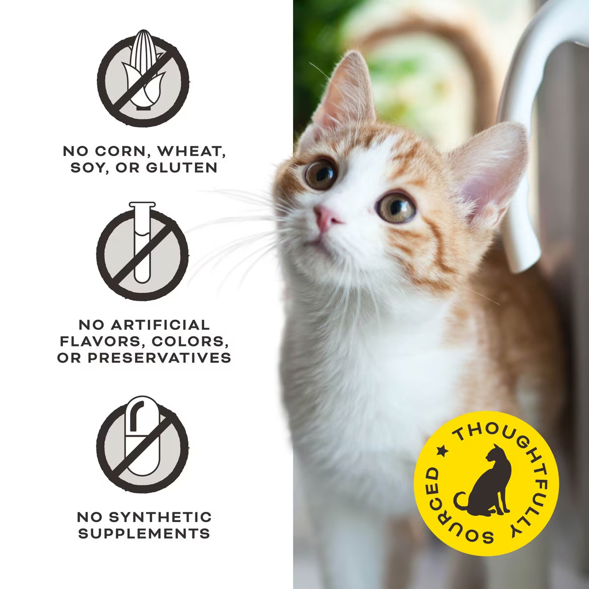 Primal Liver Laugh Love Simply Freeze-Dried Pork Cat Treats 1.5oz