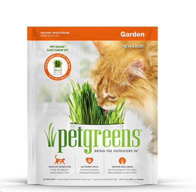 Organic Wheatgrass - Garden Easy Self Grow Kit