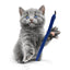 Schum-Tug Interactive Cat Toy
