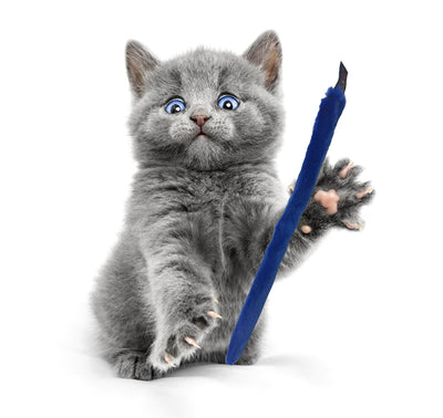 Schum-Tug Interactive Cat Toy