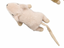 Spot Flat Mouse Frankie Assorted 5.5"