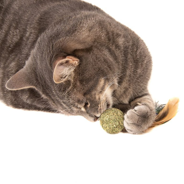 Peacock Feather Catnip Ball
