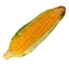 Catnip Plush Corn Cob Cuddle Toy
