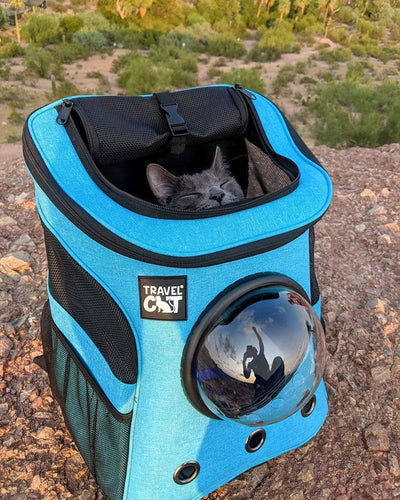 “The Fat Cat” Cat Backpack in Aqua