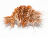 Da Shrimp - Orange