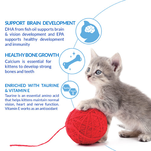 Kitten hotsell healthy development