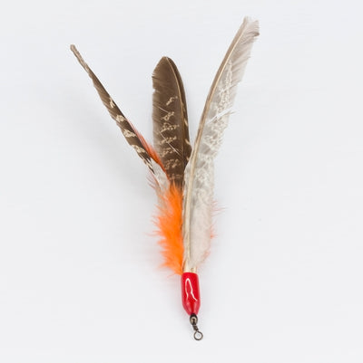 Pheasant Feathers 100PCS Short Male Tail Feathers 10-12 Natural Color  Ringneck Pheasant Tail Feathers ZUCKER® -  Canada