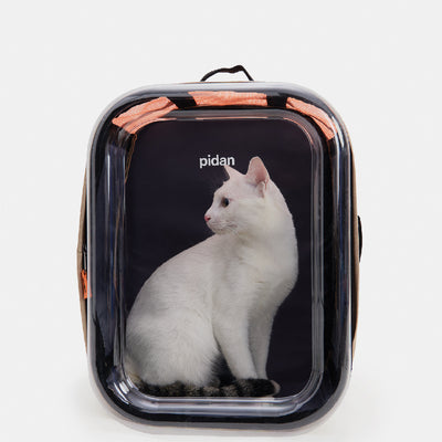 Backpack Carrier