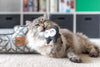 Feline Frenzy Plush - Hooti-ful Owls (Set of 2)