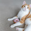 Feline Frenzy Plush - Kitty Kreme Donuts