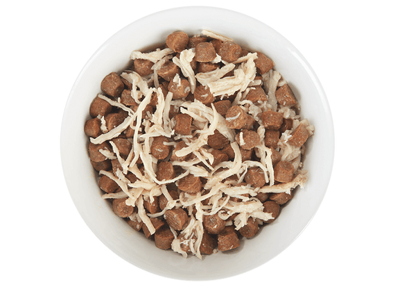 Tiki Cat® Broths with Chicken