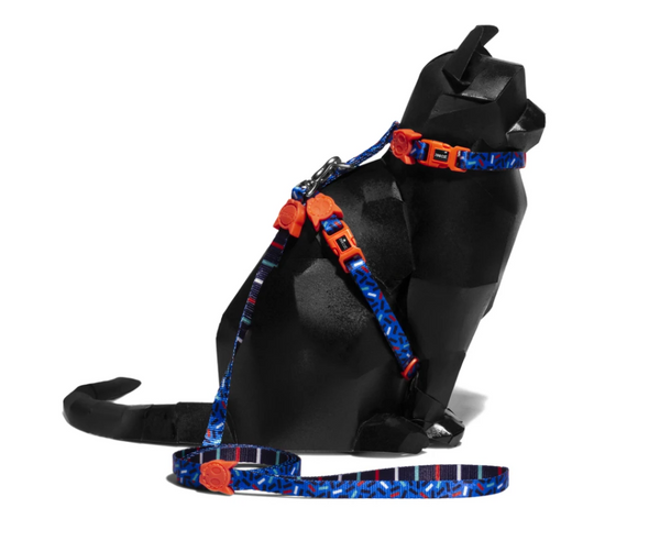 Adjustable Cat Harness & Leash Set - Atlanta
