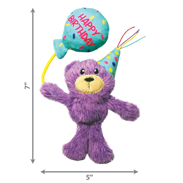 Birthday Teddy
