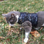 Kitty Holster Harness - Navy Blue Camo