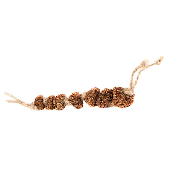 DIY Silver Vine Caterpillar