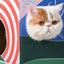 Cat Scratcher House- Japanese Fuji Pattern
