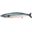 Catnip Plush Mackerel Cuddle Fish
