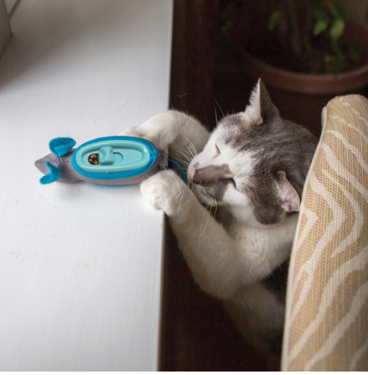 Cat clearance hunter feeder