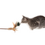 Silver Vine Peacock Feathers Teaser Toy (25cm stick)