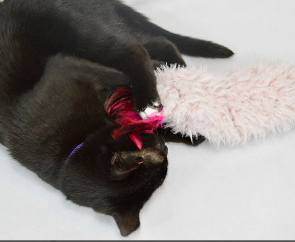 Faux Wool Catnip Kicker With Feathers