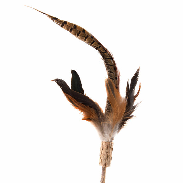 Silver Vine Pheasant Feathers Teaser Toy