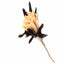 Silver Vine Corn Feathers Teaser Toy (40cm stick)