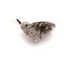 GoCat Birdie - Fly