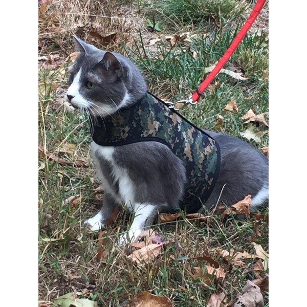 Kitty holster deals cat harness canada