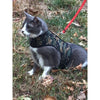 Kitty Holster Harness - Sherwood Green Camo