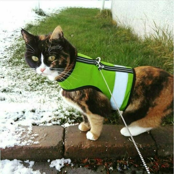 Kitty Holster Harness - Loud Lime (Reflective)
