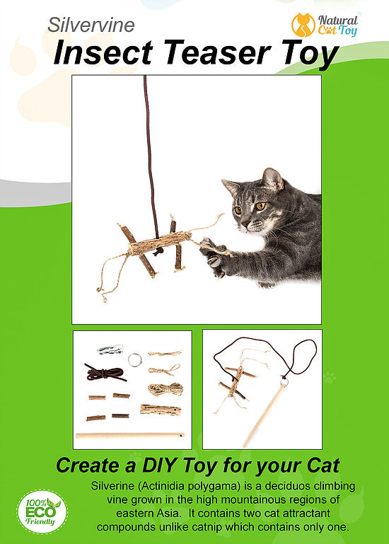 DIY Silver Vine Insect Teaser Toy
