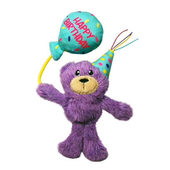 Birthday Teddy