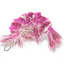 GoCat Da Shrimp - Magenta