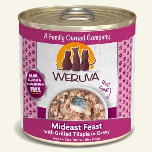 Mideast Feast with Grilled Tilapia in Gravy (3 sizes)
