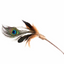 Silver Vine Peacock Feathers Teaser Toy (25cm stick)