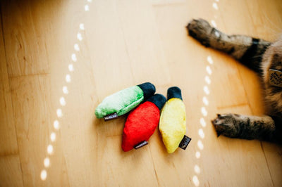 Feline Frenzy Plush - Kitty Delights (3 pack)