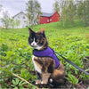 Kitty Holster Harness - Purple