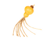 Silver Vine Gall Gourd Octopus