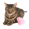 DIY Catnip Strawberry