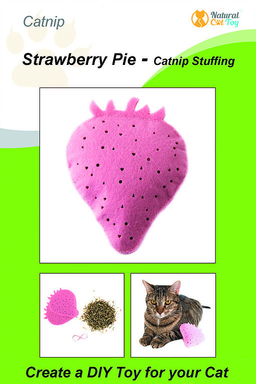 DIY Catnip Strawberry