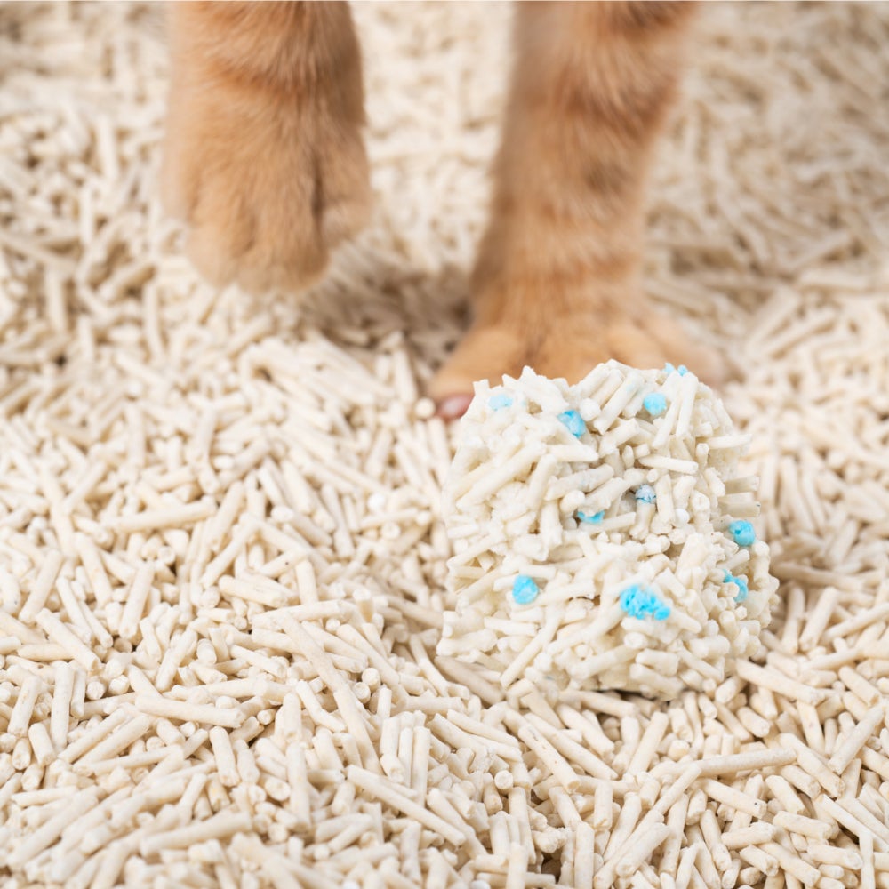 Tofu Pellets Clumping Litter with blood test particles