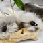 Rabbit Fur Strip Rod Attachment