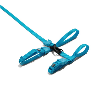 Adjustable Cat Harness & Leash Set - Ultimate Blue